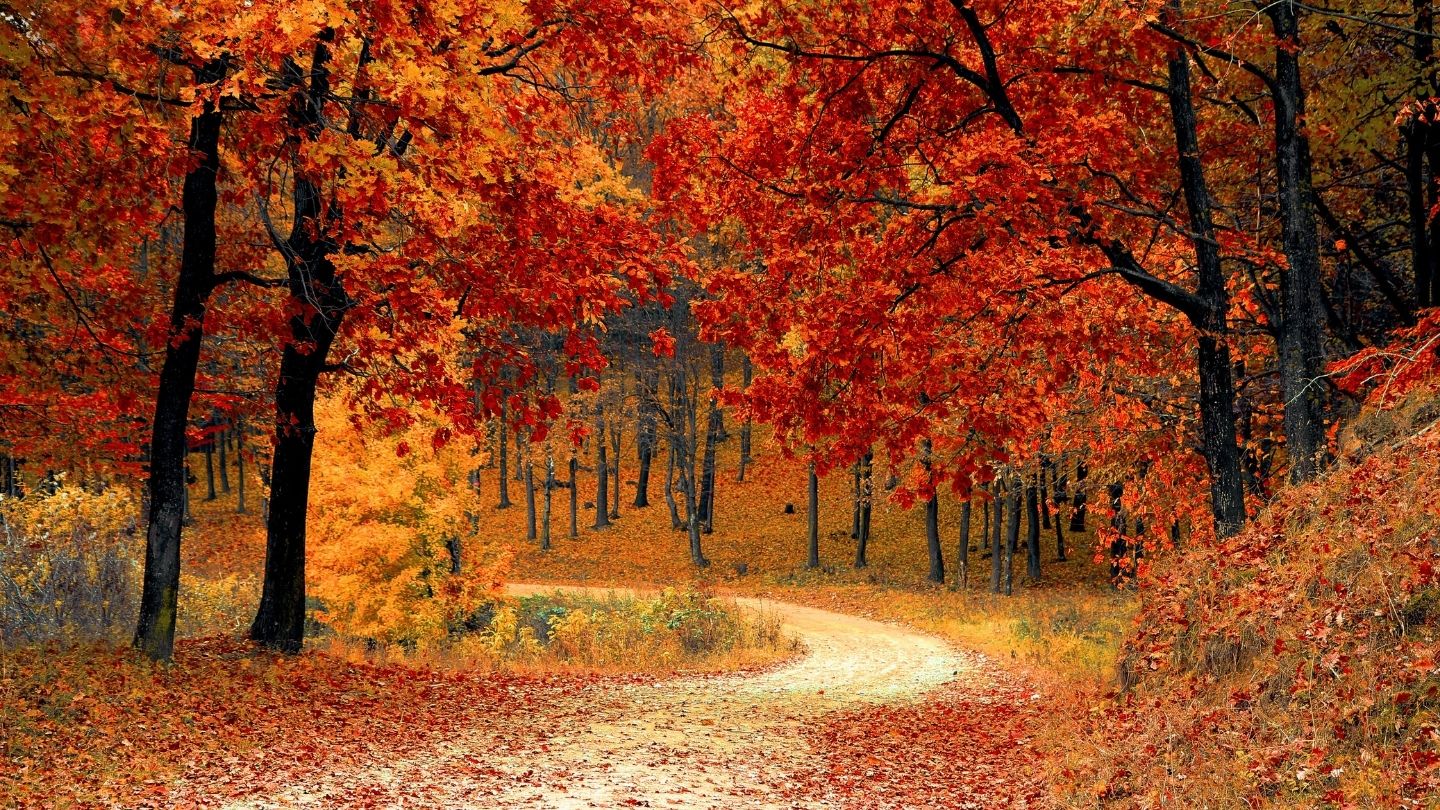 fall events